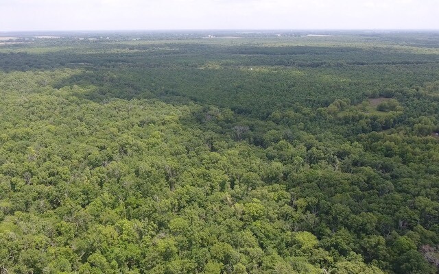 Land for Sale in Rapides Parish, LA (14 of 28)