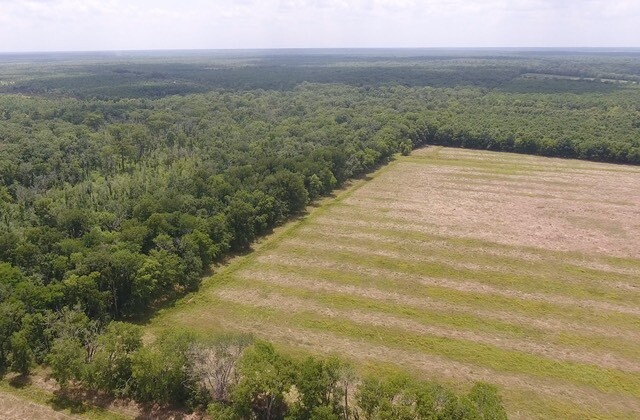 Land for Sale in Rapides Parish, LA (20 of 28)