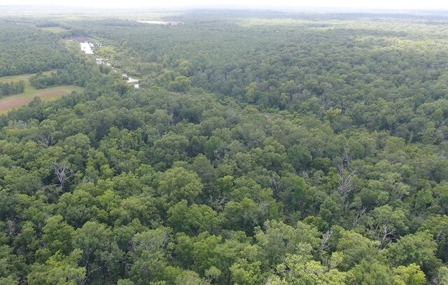 Land for Sale in Rapides Parish, LA (21 of 28)