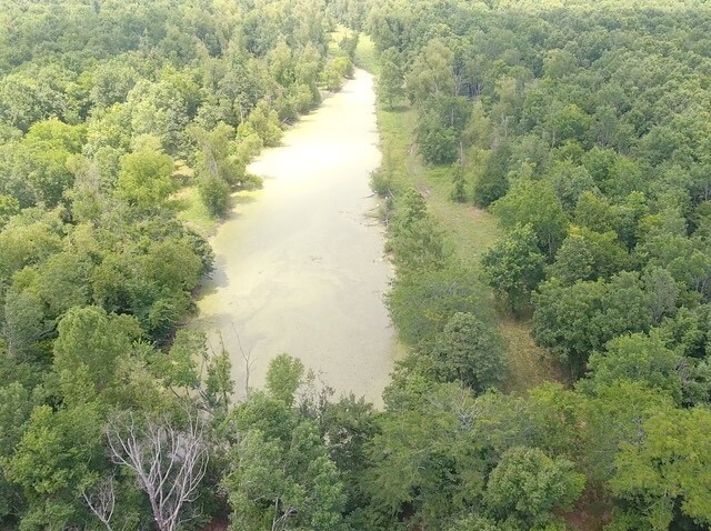Land for Sale in Rapides Parish, LA (25 of 28)