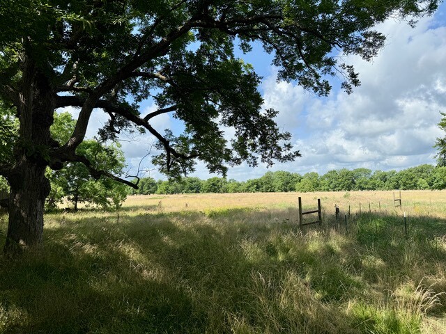 Land for Sale in Rapides Parish, LA (28 of 28)