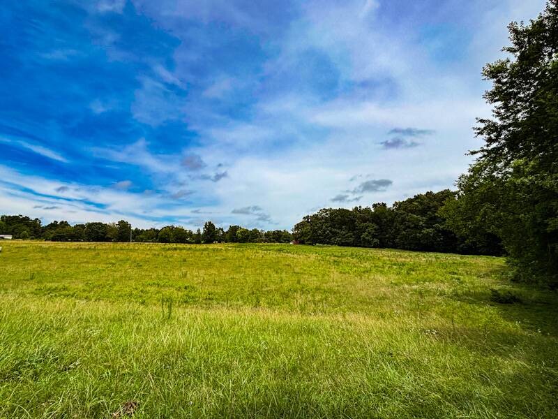 Land for Sale in Lauderdale County, AL (5 of 23)