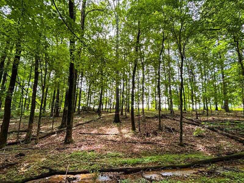 Land for Sale in Lauderdale County, AL (23 of 23)