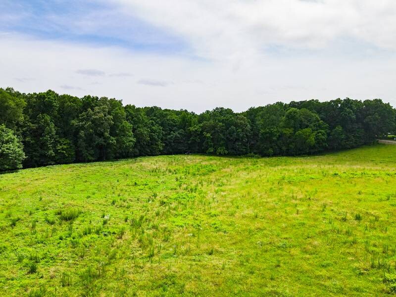 Land for Sale in Lauderdale County, AL (3 of 26)