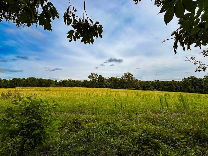 Land for Sale in Lauderdale County, AL (4 of 26)