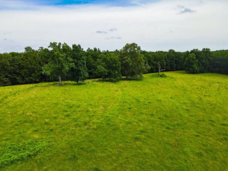 Land for Sale in Lauderdale County, AL (7 of 26)