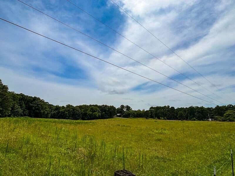 Land for Sale in Lauderdale County, AL (11 of 26)