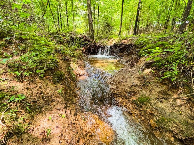 Land for Sale in Lauderdale County, AL (12 of 26)