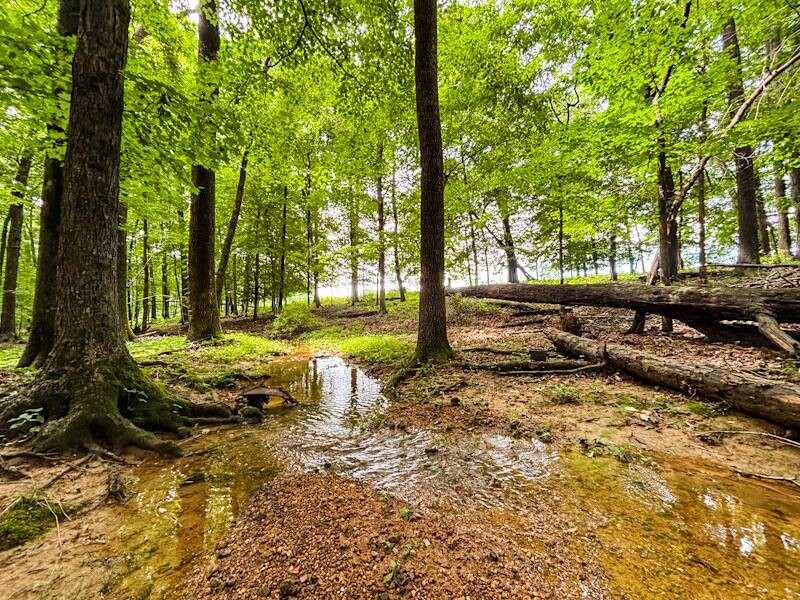 Land for Sale in Lauderdale County, AL (14 of 26)