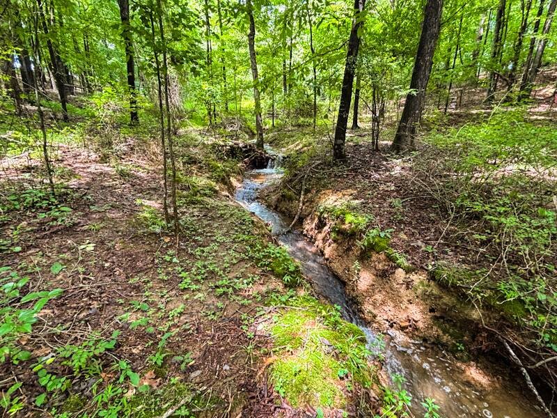 Land for Sale in Lauderdale County, AL (20 of 26)