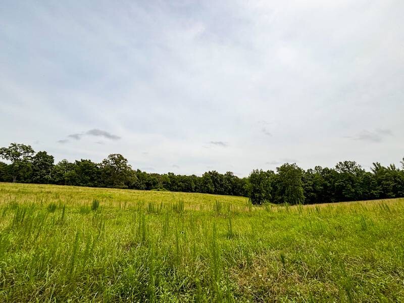 Land for Sale in Lauderdale County, AL (21 of 26)
