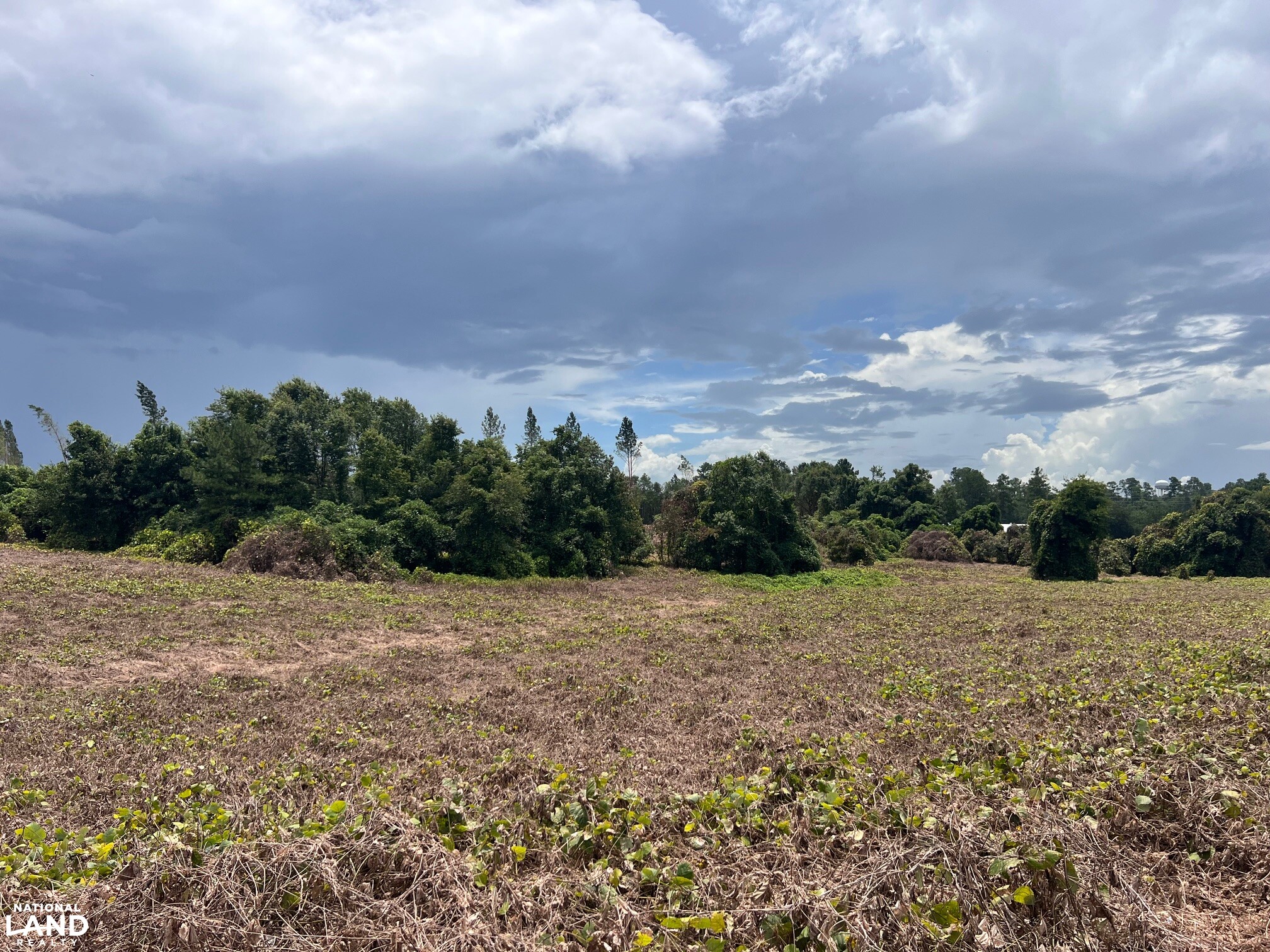 Sunflower Estates LOT 1 in Calhoun County, SC (2 of 8)