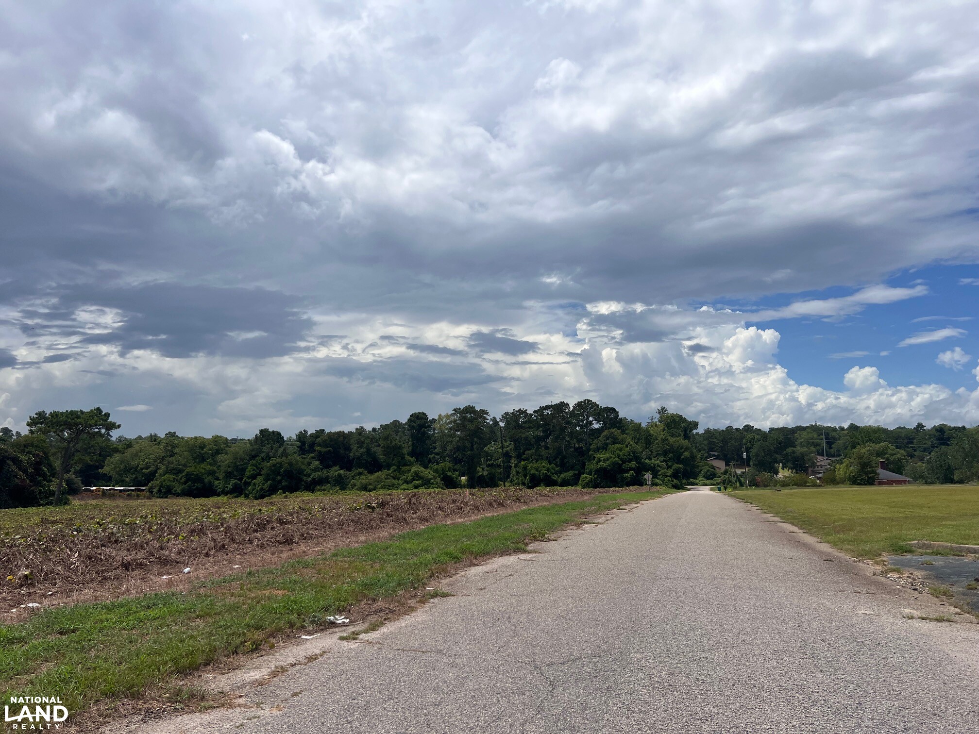 Sunflower Estates LOT 1 in Calhoun County, SC (4 of 8)