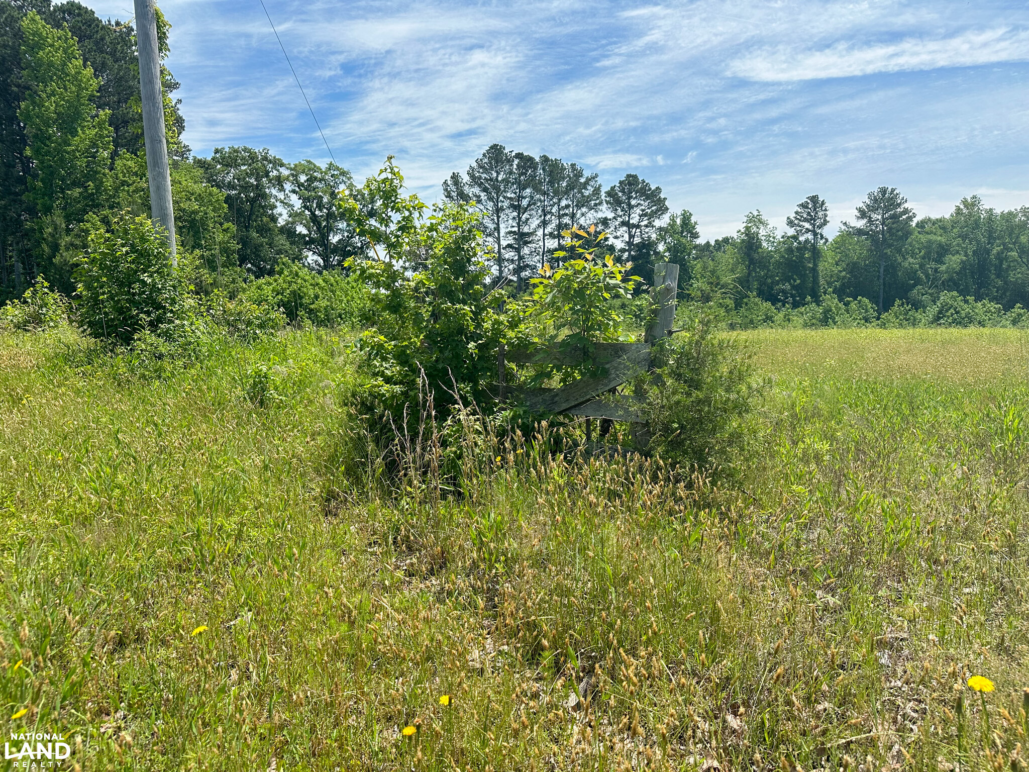 Bonlee Bennett Road in Chatham County, NC (5 of 32)