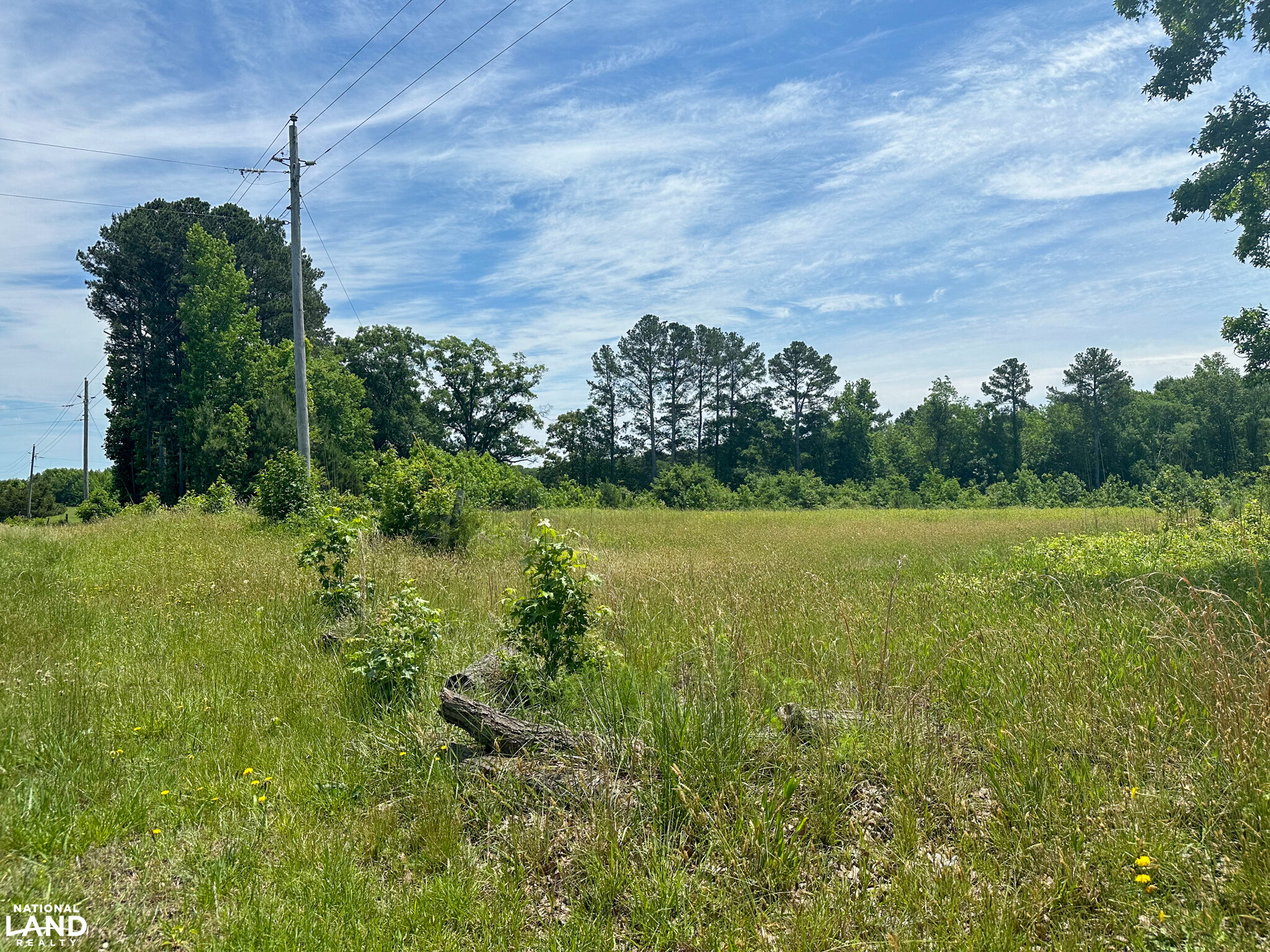 Bonlee Bennett Road in Chatham County, NC (6 of 32)