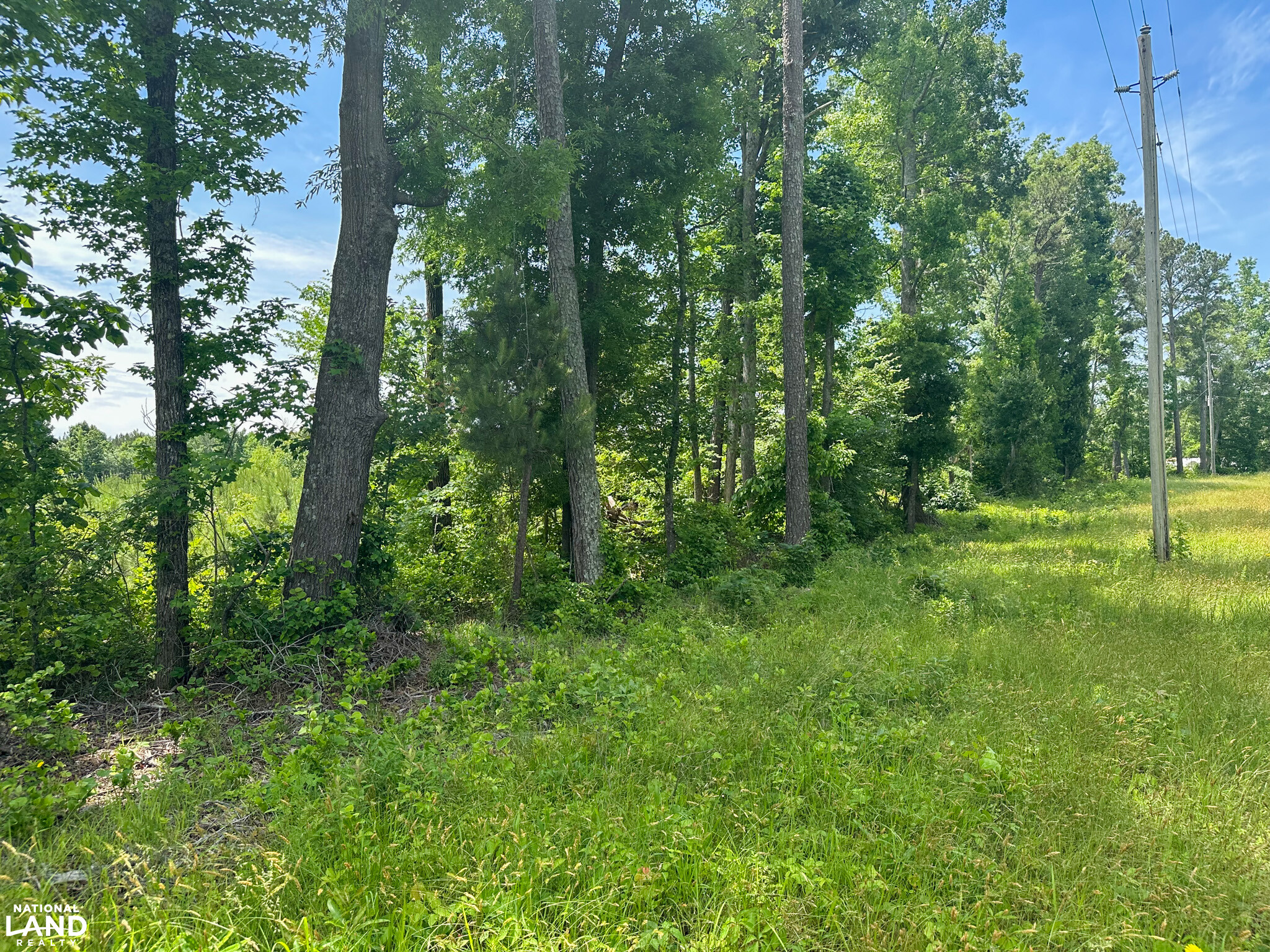 Bonlee Bennett Road in Chatham County, NC (8 of 32)