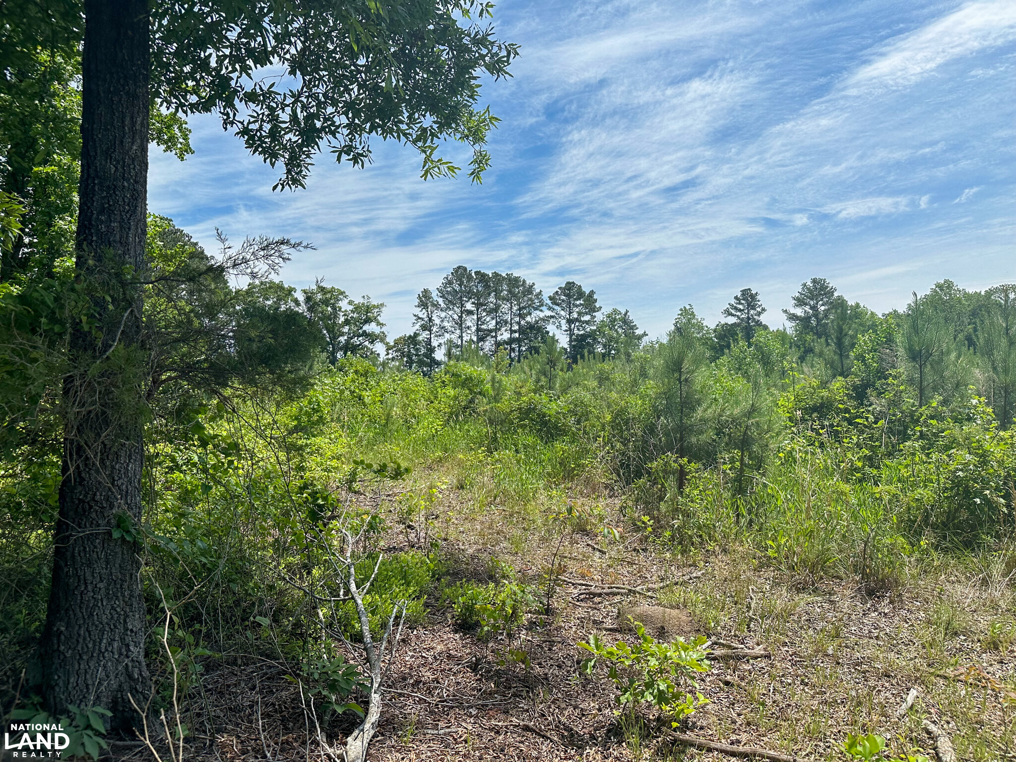 Bonlee Bennett Road in Chatham County, NC (9 of 32)