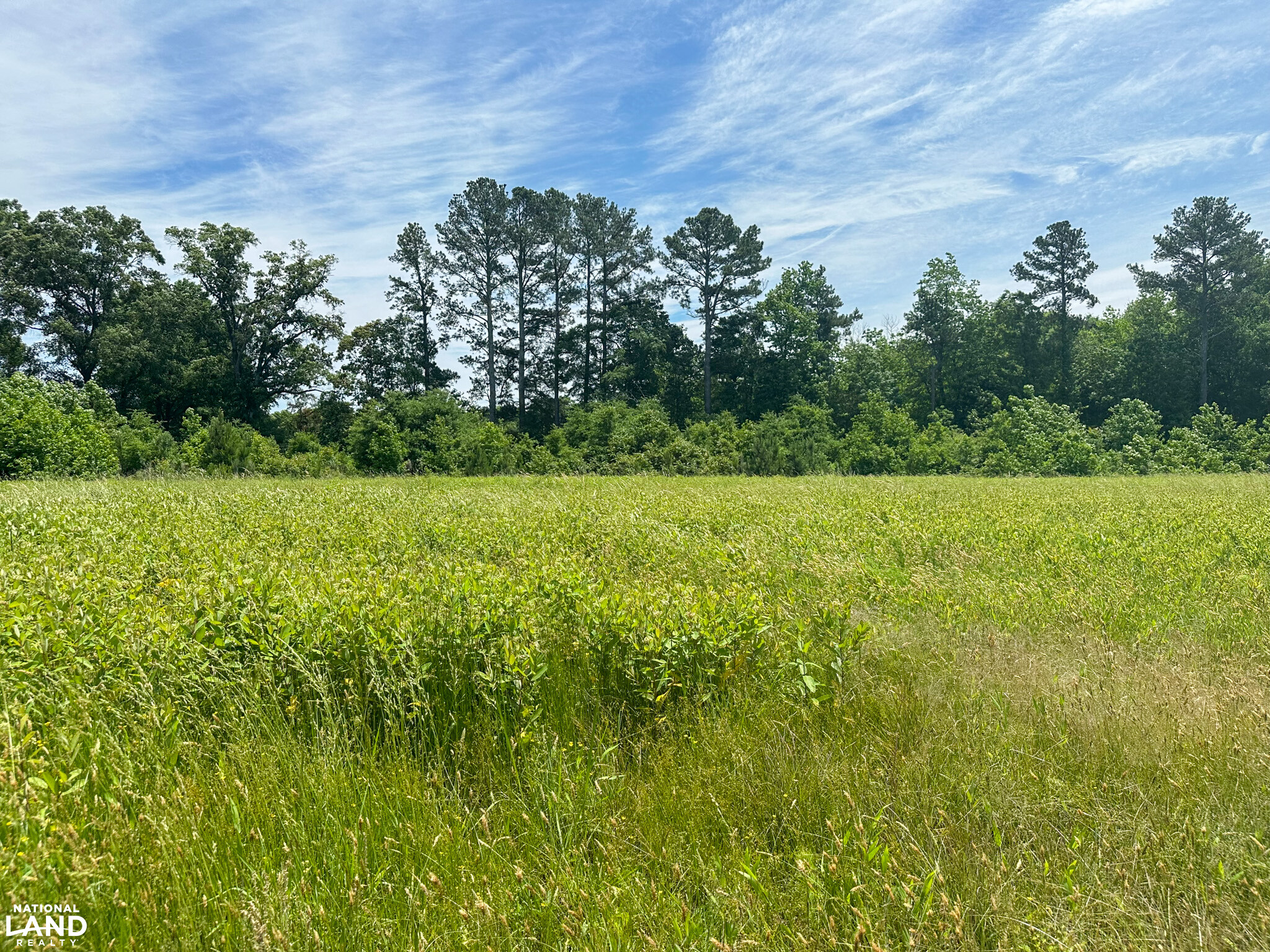 Bonlee Bennett Road in Chatham County, NC (13 of 32)