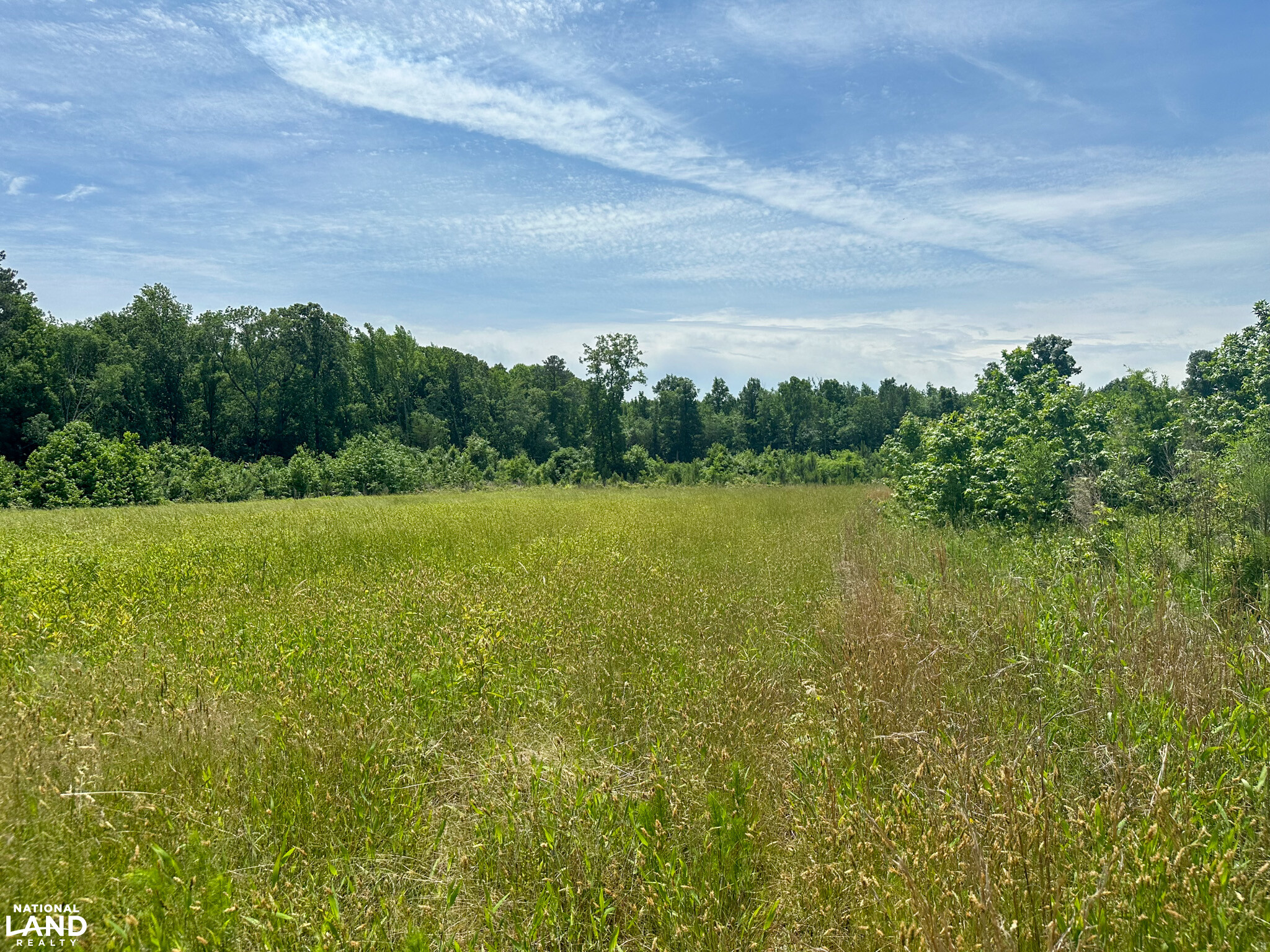 Bonlee Bennett Road in Chatham County, NC (14 of 32)