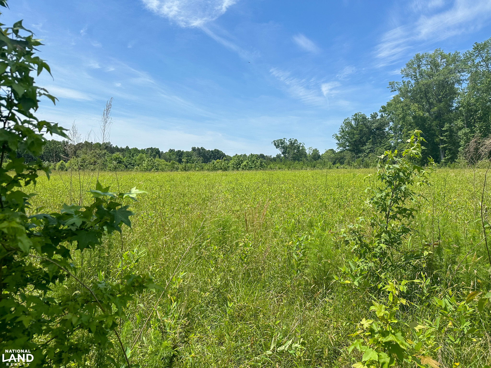 Bonlee Bennett Road in Chatham County, NC (15 of 32)
