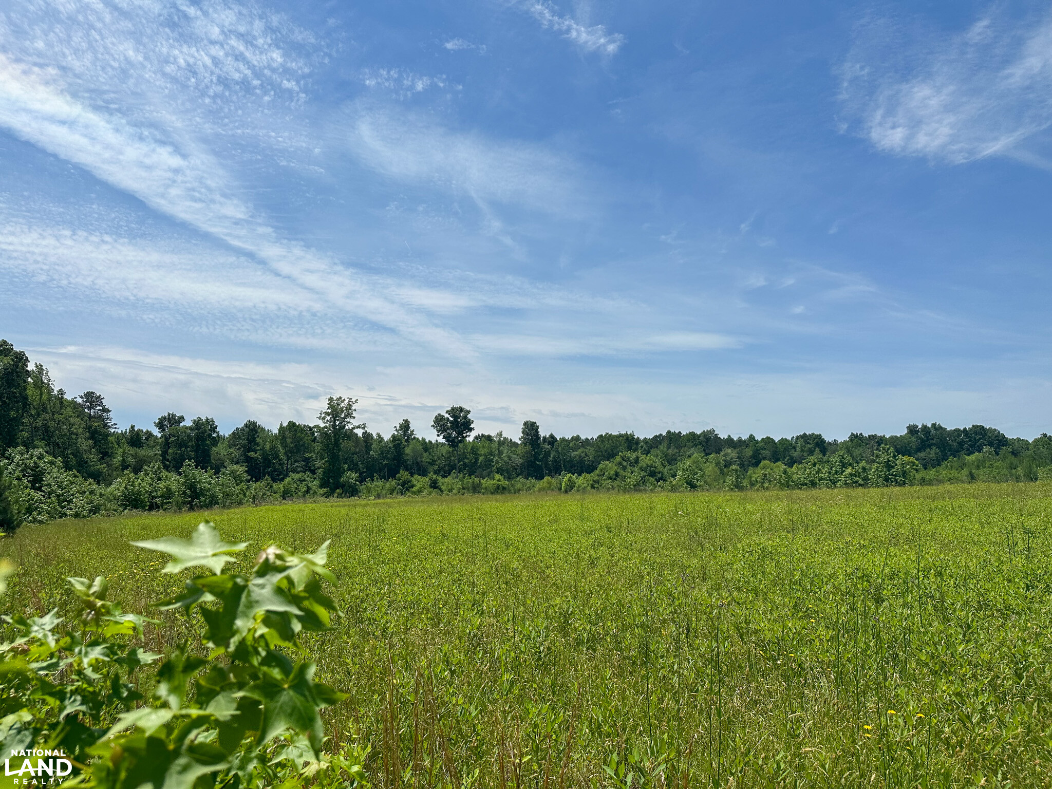 Bonlee Bennett Road in Chatham County, NC (18 of 32)