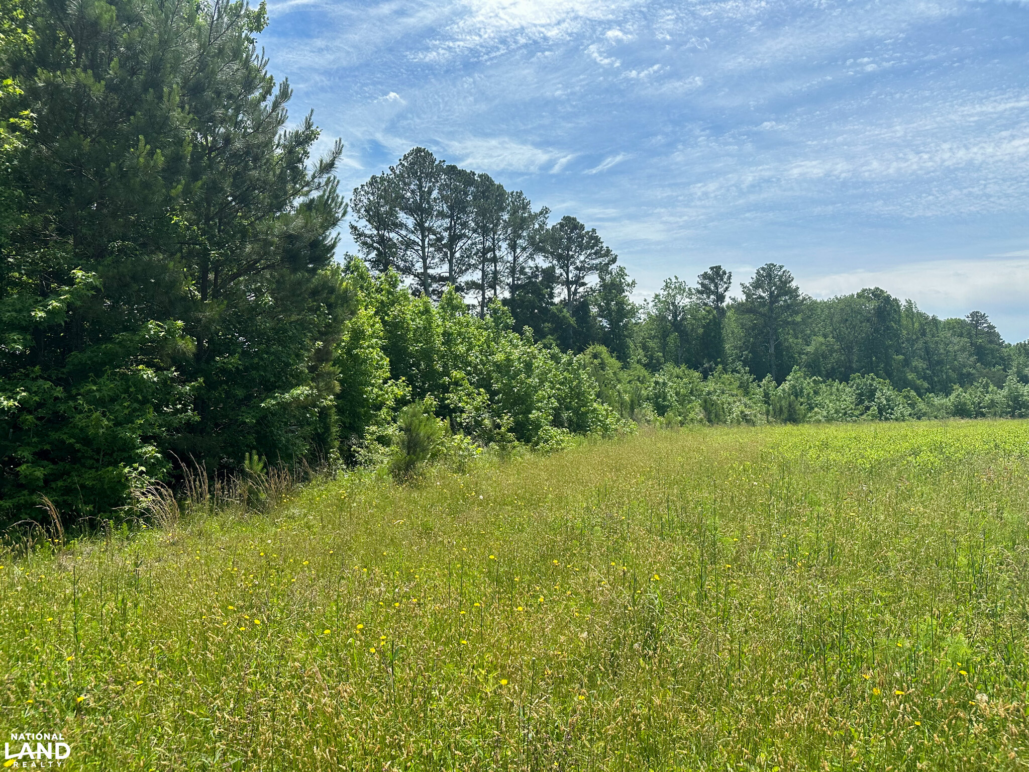 Bonlee Bennett Road in Chatham County, NC (20 of 32)