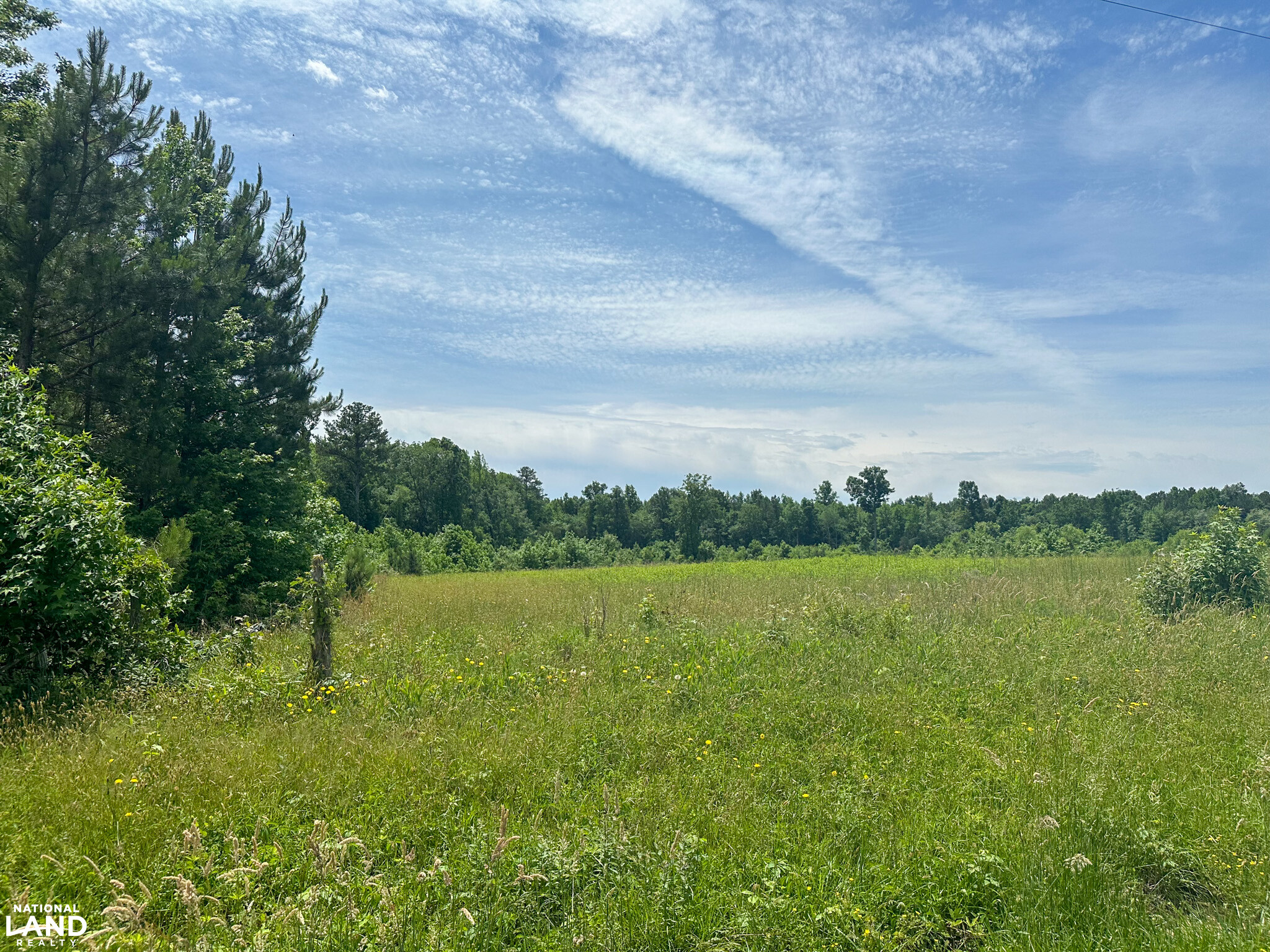 Bonlee Bennett Road in Chatham County, NC (22 of 32)