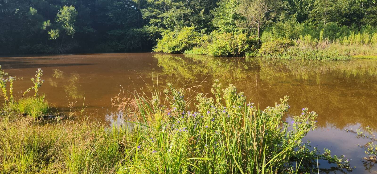 Land for Sale in Marion County, TX (3 of 48)