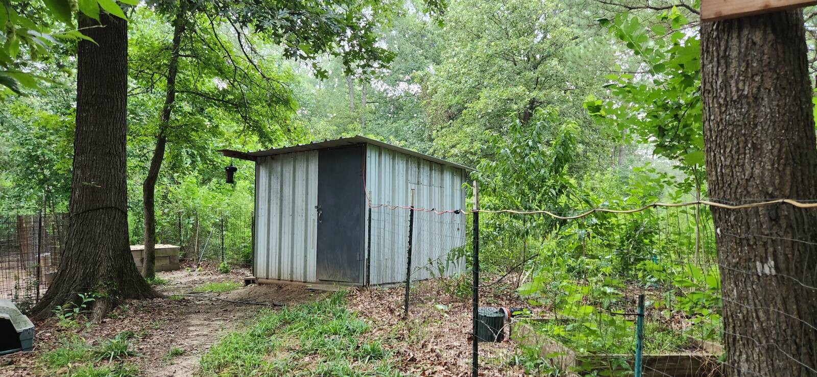 Land for Sale in Marion County, TX (10 of 48)