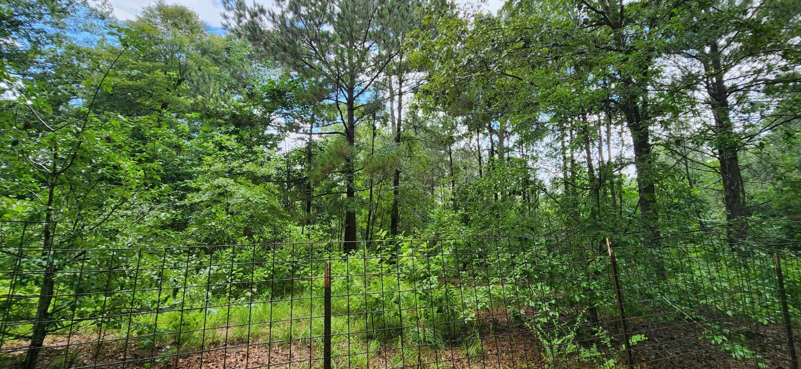 Land for Sale in Marion County, TX (14 of 48)