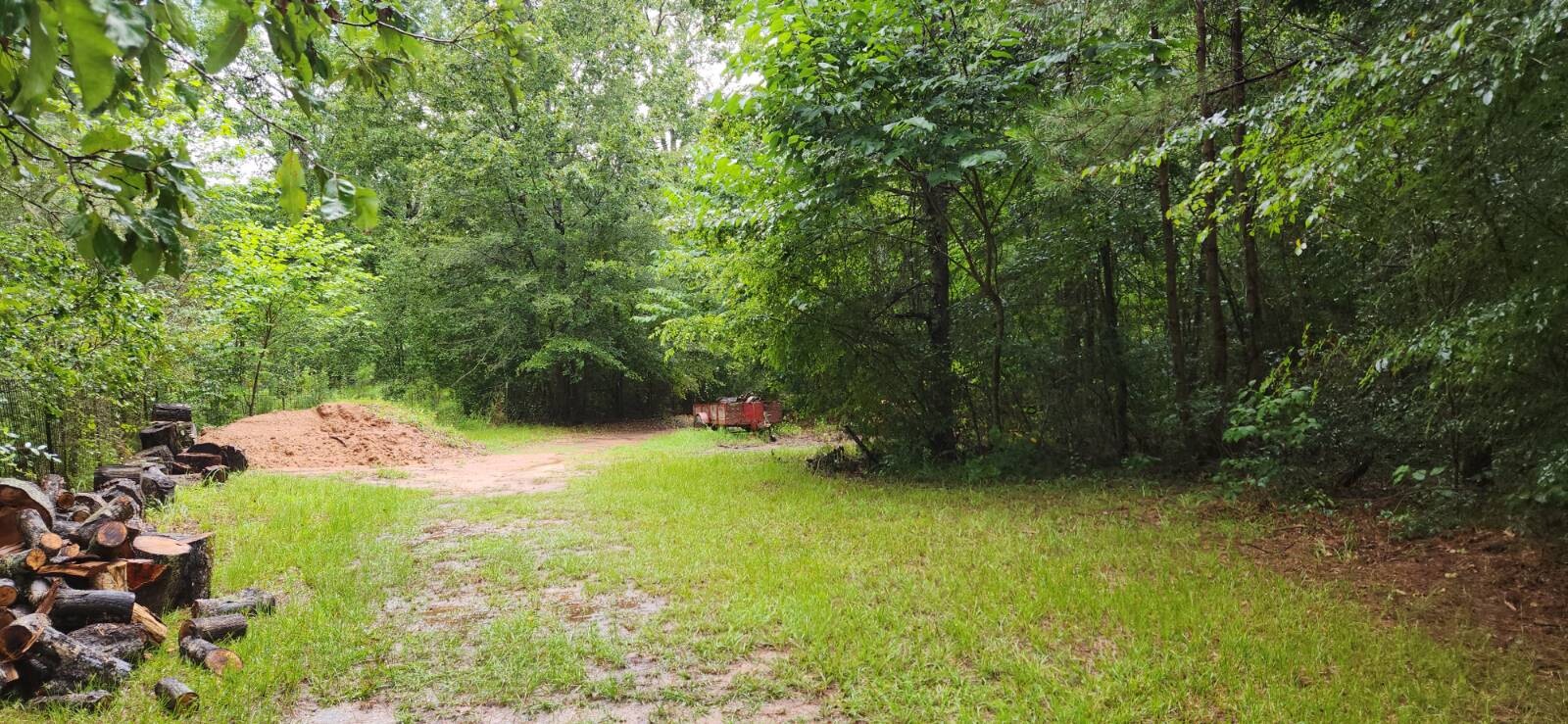 Land for Sale in Marion County, TX (15 of 48)