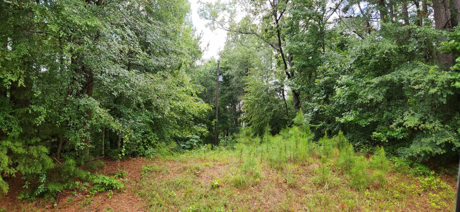 Land for Sale in Marion County, TX (19 of 48)