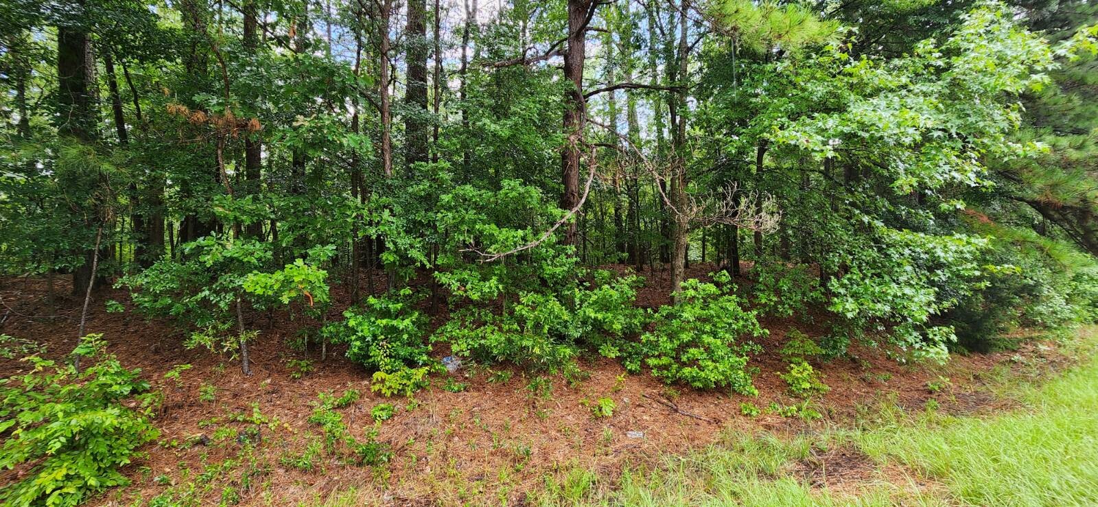 Land for Sale in Marion County, TX (20 of 48)