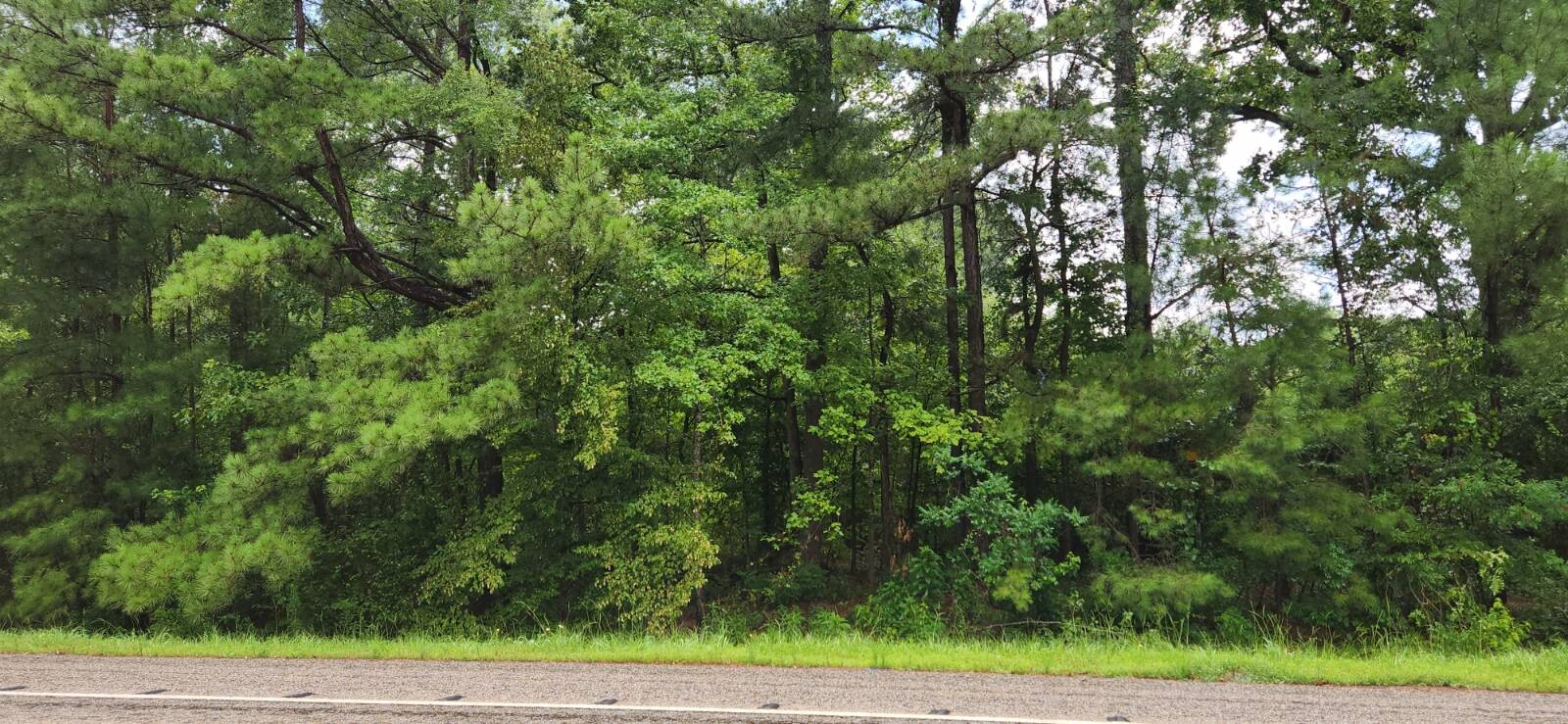 Land for Sale in Marion County, TX (21 of 48)