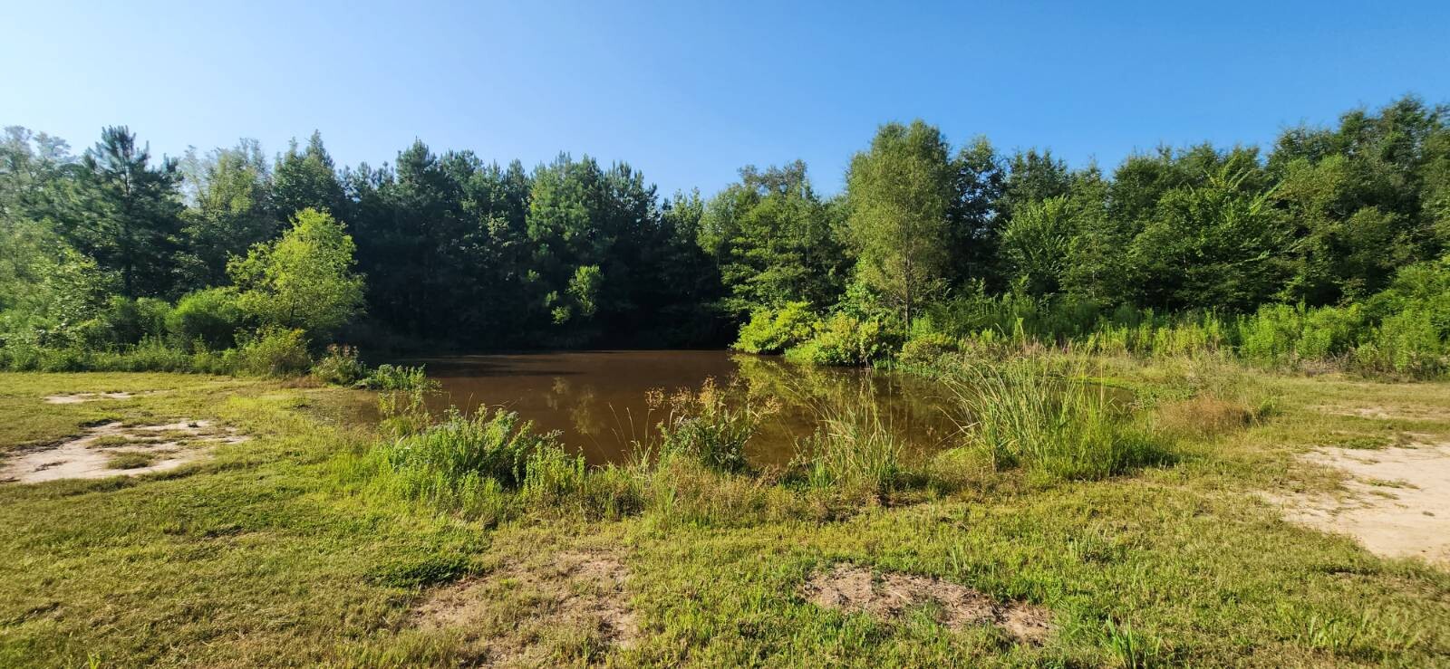 Land for Sale in Marion County, TX (22 of 48)