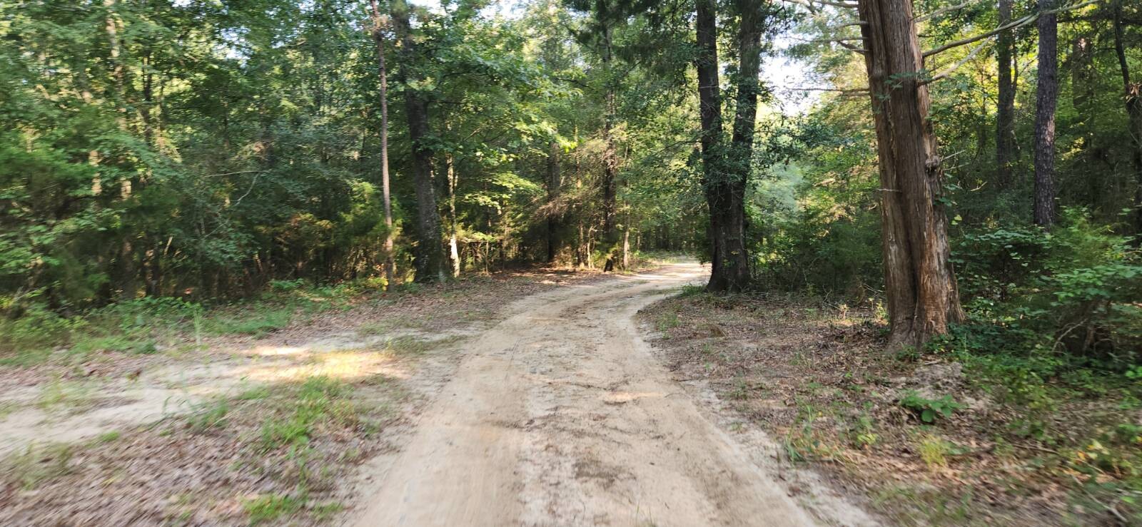 Land for Sale in Marion County, TX (23 of 48)