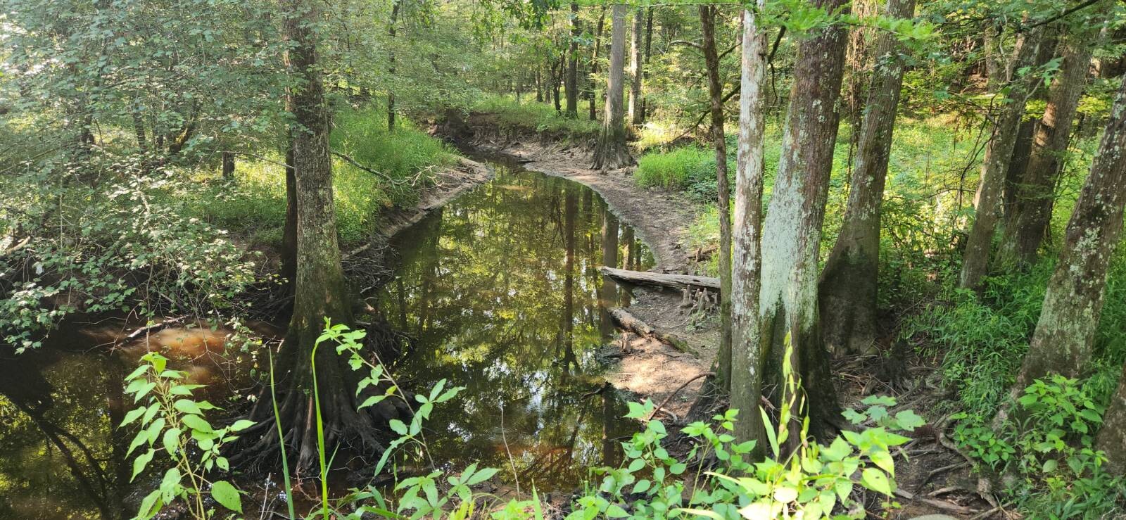 Land for Sale in Marion County, TX (27 of 48)
