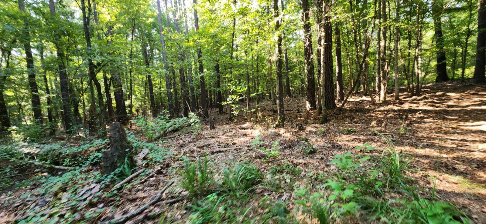 Land for Sale in Marion County, TX (34 of 48)