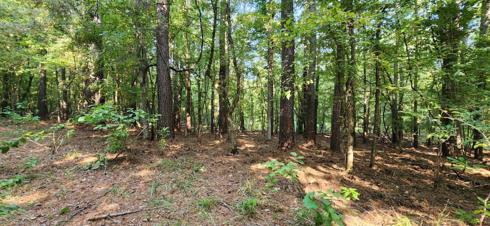 Land for Sale in Marion County, TX (38 of 48)