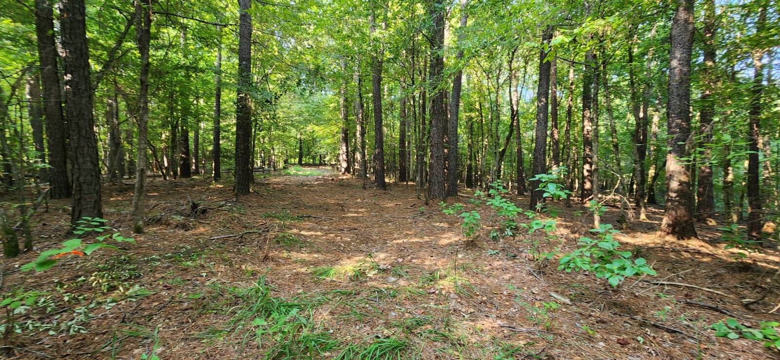 Land for Sale in Marion County, TX (39 of 48)