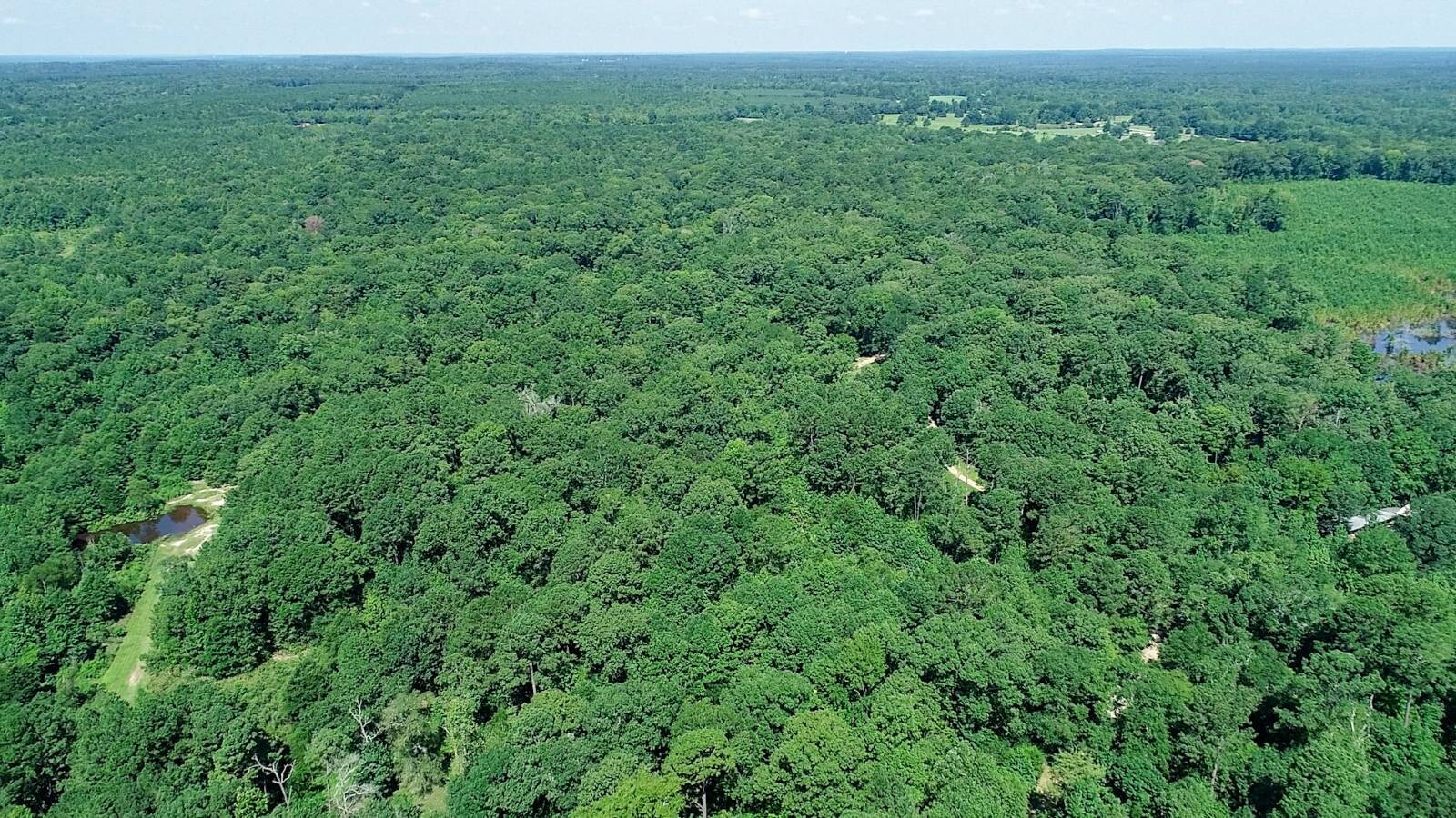 Land for Sale in Marion County, TX (43 of 48)