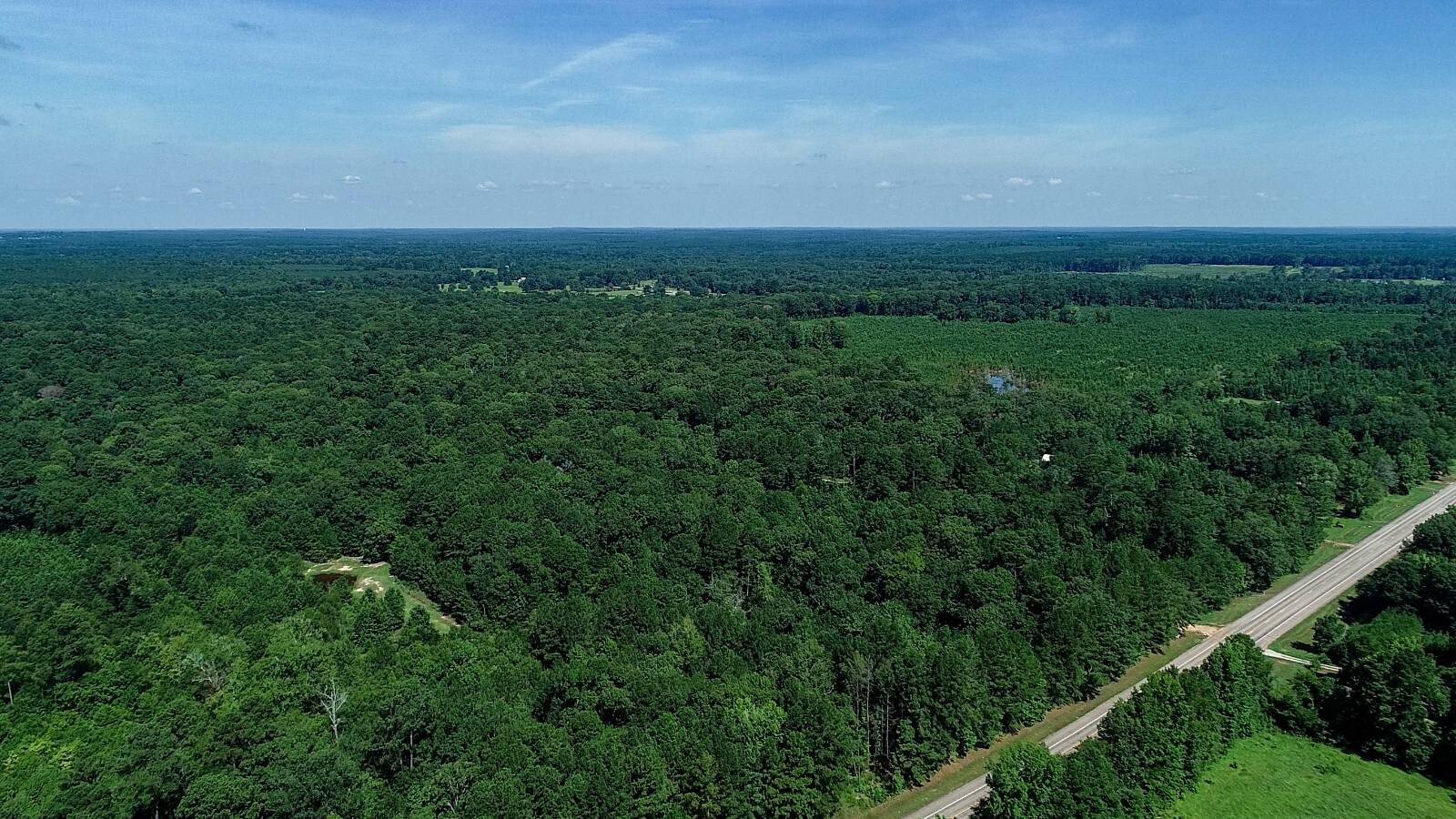 Land for Sale in Marion County, TX (44 of 48)