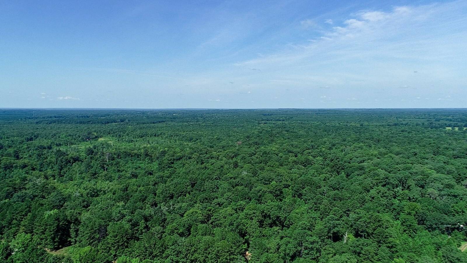 Land for Sale in Marion County, TX (45 of 48)