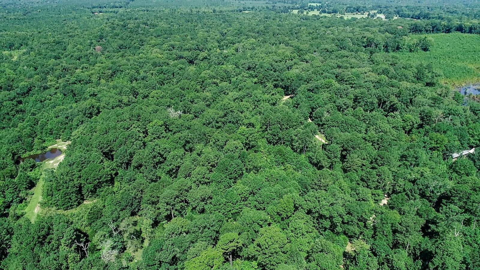 Land for Sale in Marion County, TX (48 of 48)