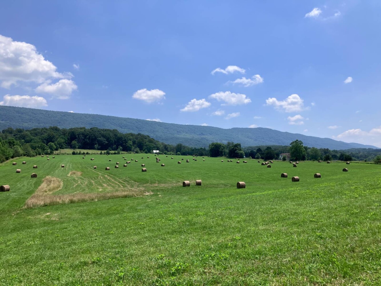 Land for Sale in Shenandoah County, VA (1 of 16)