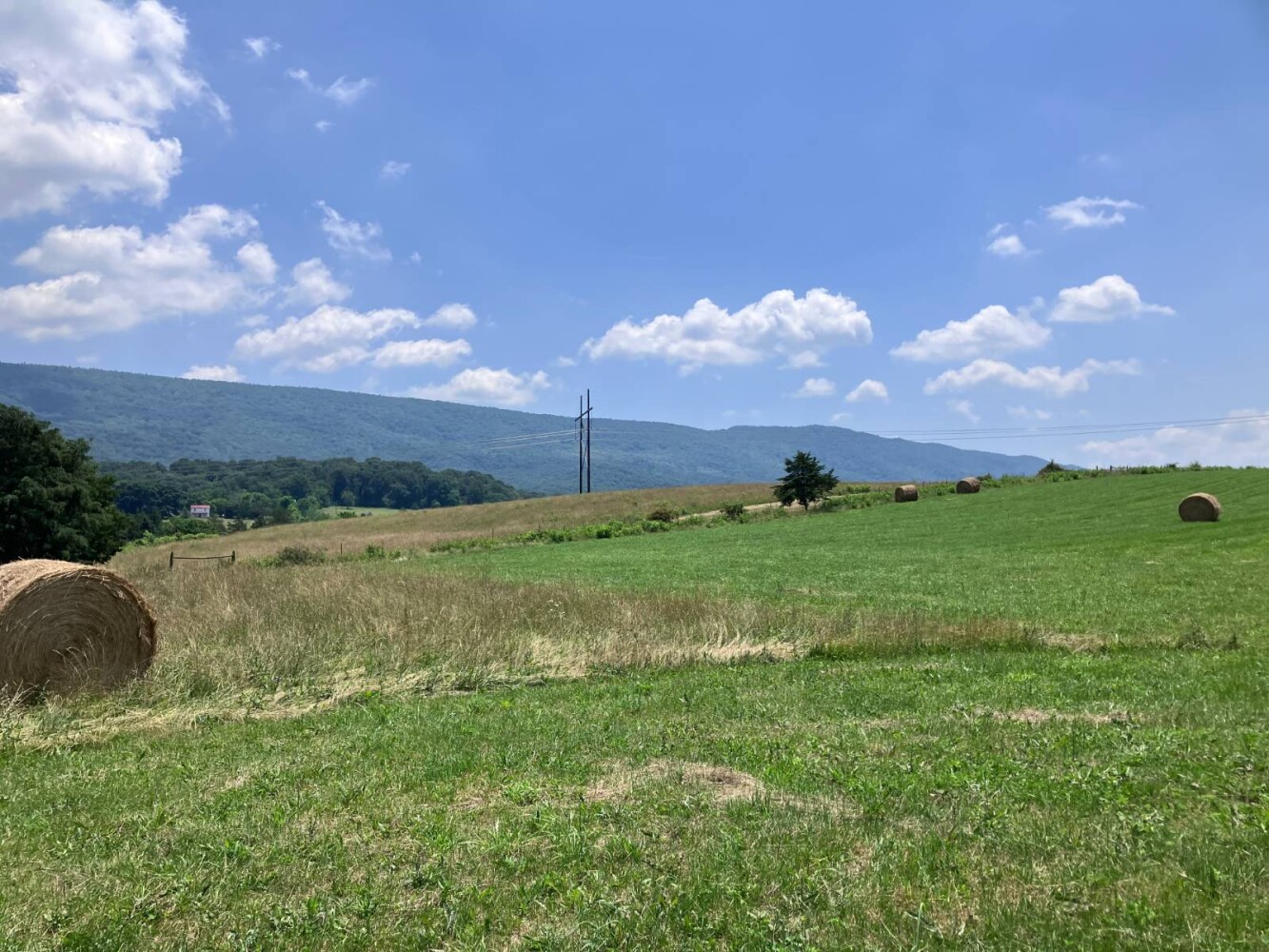 Land for Sale in Shenandoah County, VA (5 of 16)