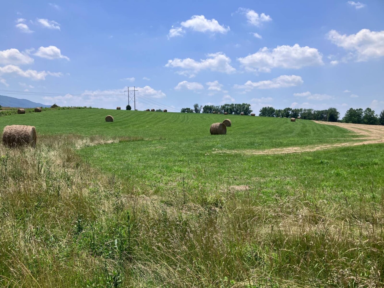 Land for Sale in Shenandoah County, VA (6 of 16)
