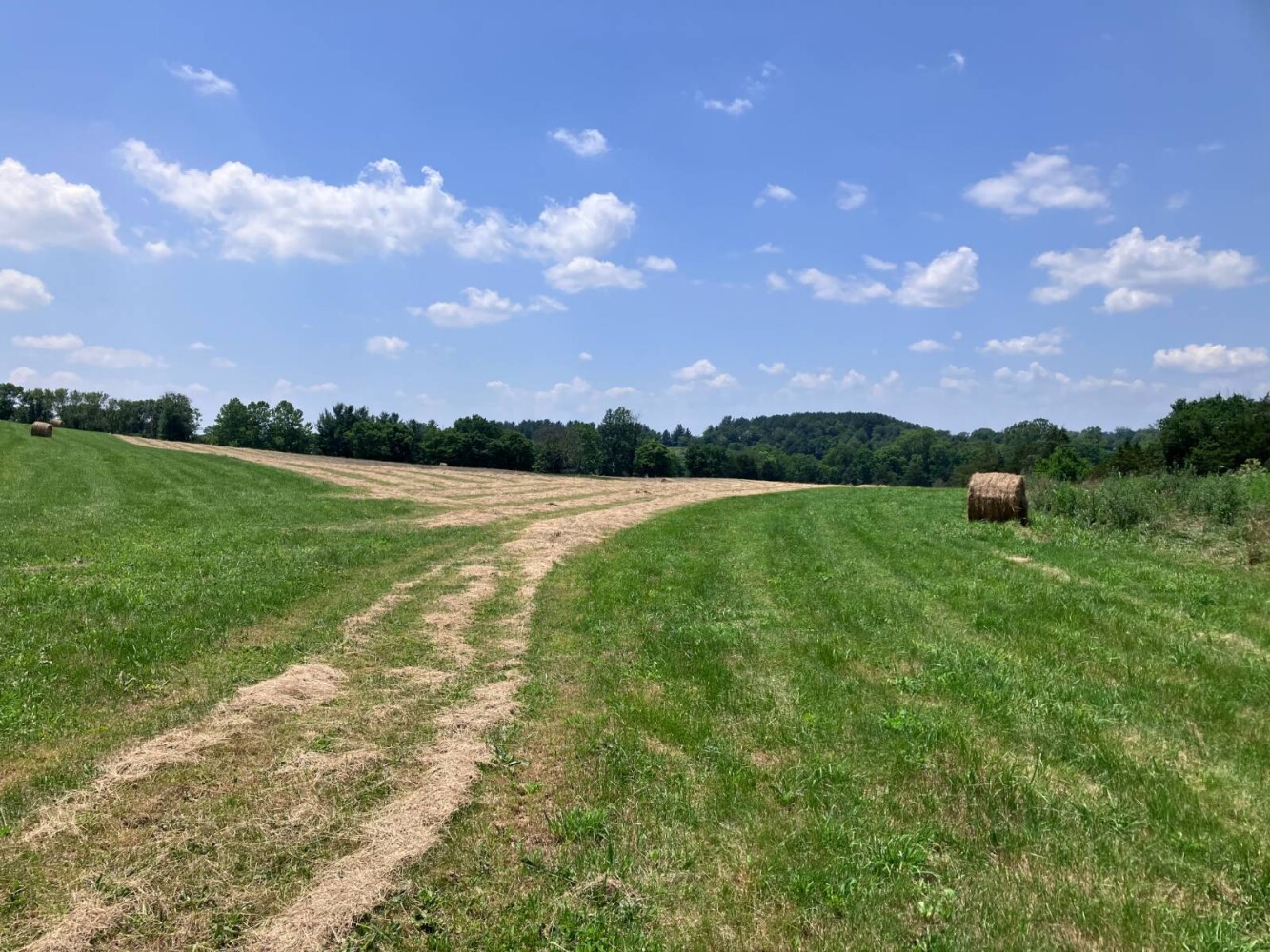 Land for Sale in Shenandoah County, VA (8 of 16)