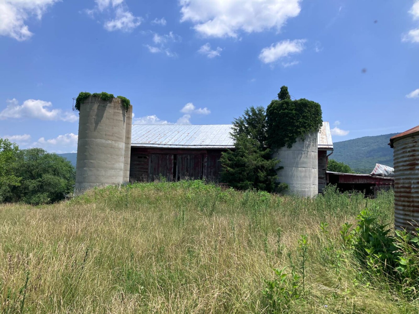 Land for Sale in Shenandoah County, VA (9 of 16)