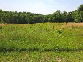 Land for Sale in Perry County, IN (2 of 8)